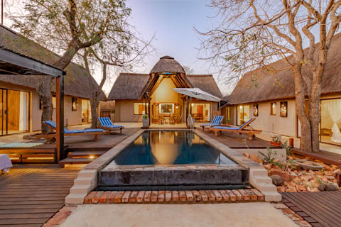 African Safari Adventures