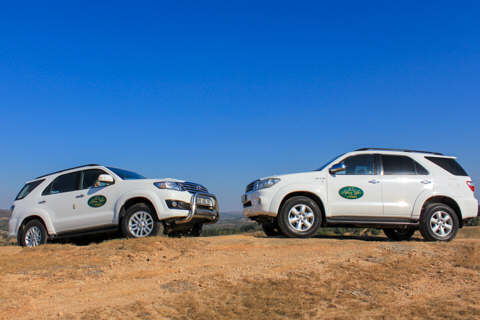 African Safari Adventures