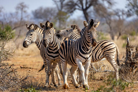 photo copyright - TheGuys.co.za