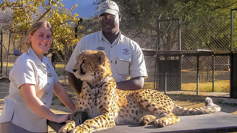 Escorted Safaris & Tours